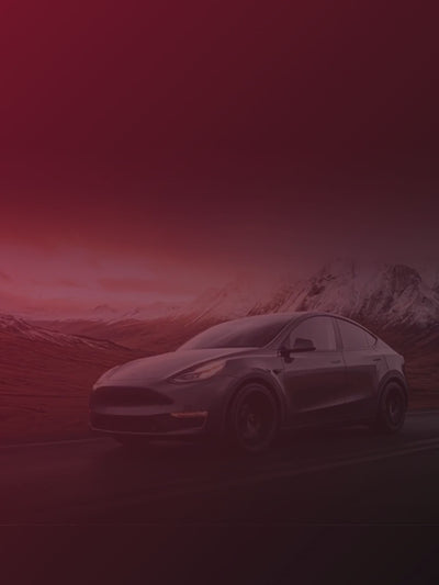 Elvix banner för tesla tillbehör med fri frakt