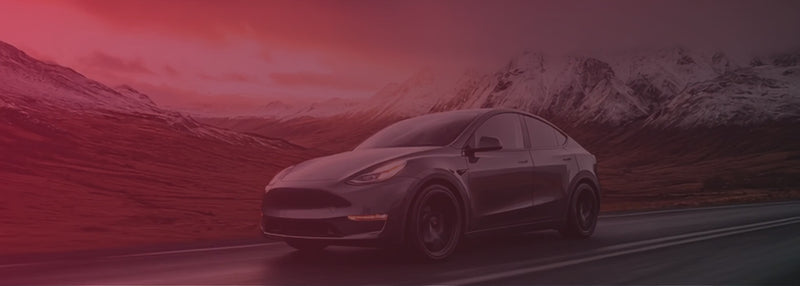 Elvix banner för tesla tillbehör med fri frakt